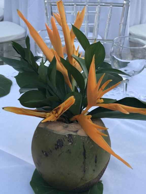 Hotel Pradomar Μπαρρανκίγια Εξωτερικό φωτογραφία